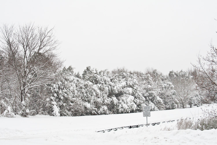 Snowbound in Charlottesville