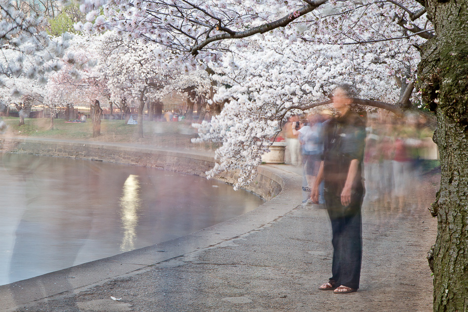 tidal basin