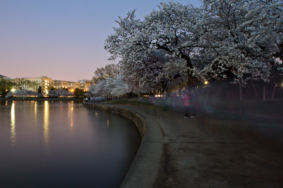 parking tidal basin dc